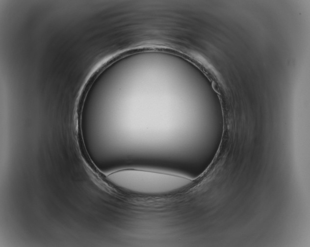 X0000088471372200705220931