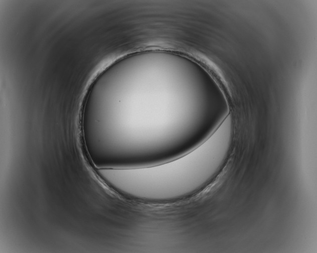 X0000088471373200705220931