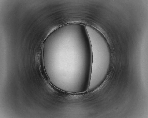 X0000088471377200705220931