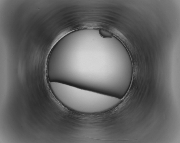 X0000088471378200705220931