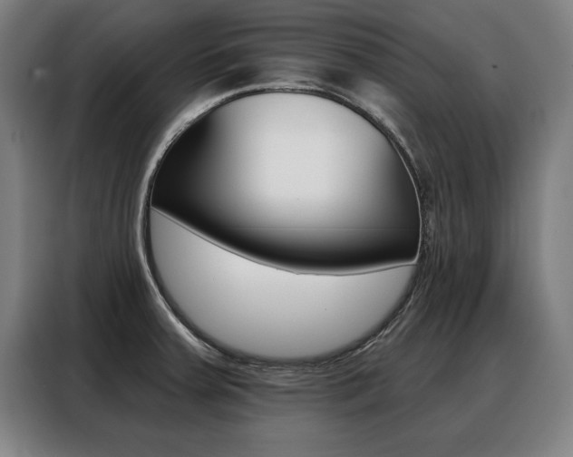 X0000088471379200705220931