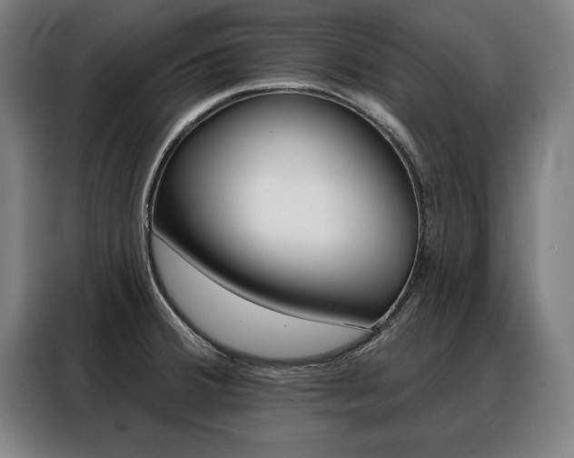 X0000088471380200705220931