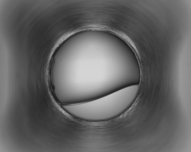 X0000088471381200705220931
