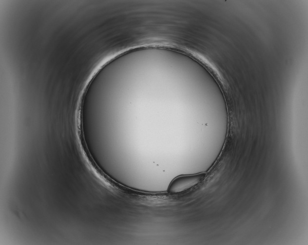 X0000088471383200705220931