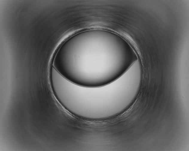 X0000088471384200705220931
