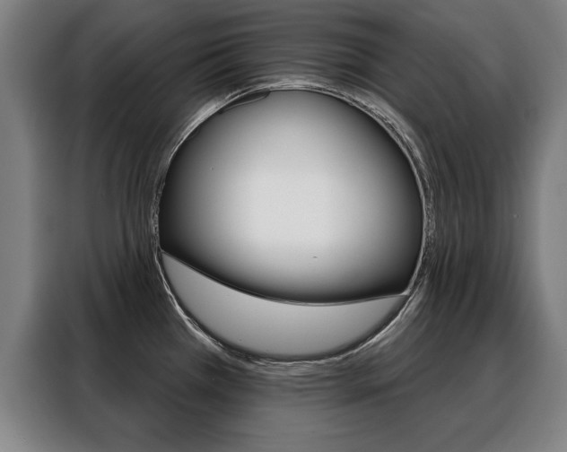 X0000088471385200705220931