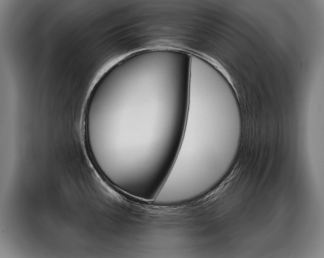 X0000088471387200705220931