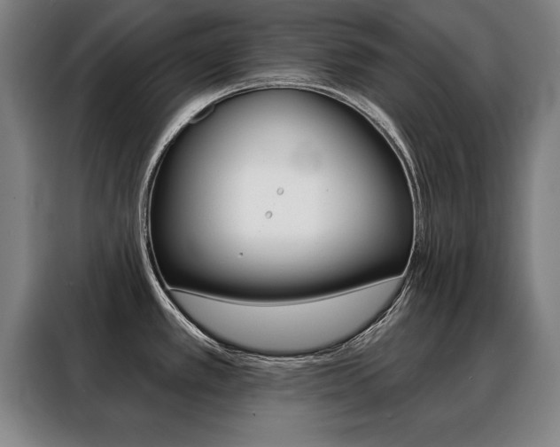X0000088471389200705220931