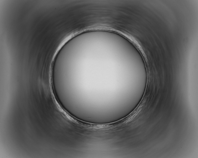 X0000088471390200705220931