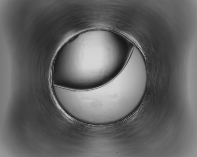 X0000088471391200705220931
