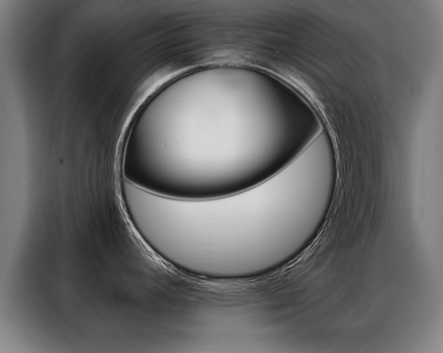 X0000088471392200705220931