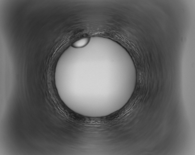 X0000088471393200705220930