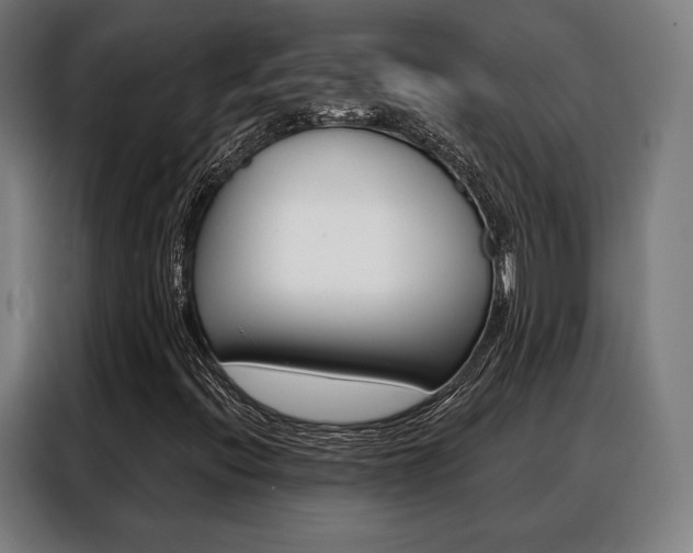 X0000088471396200705220930
