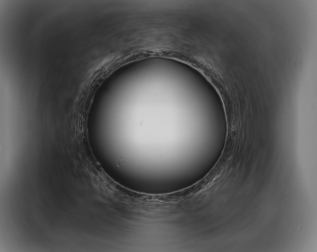 X0000088471398200705220930