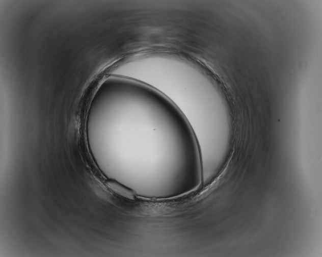 X0000088471402200705220930