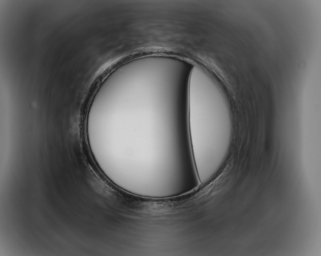 X0000088471404200705220930