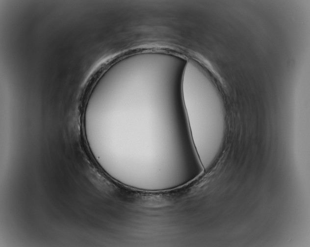 X0000088471408200705220931