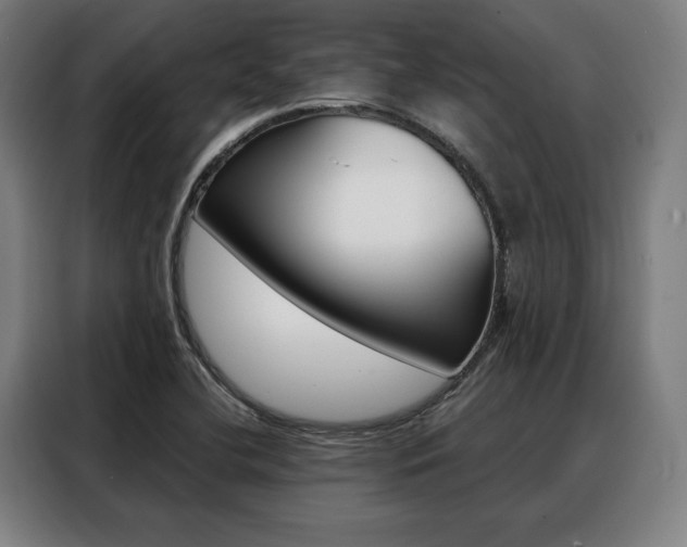 X0000088471412200705220931