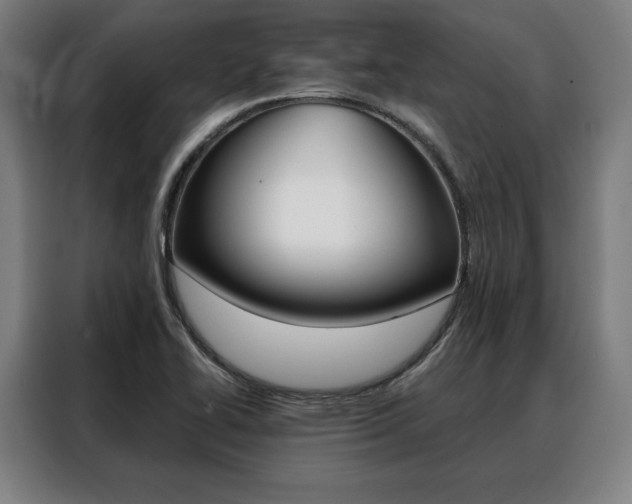 X0000088471414200705220931