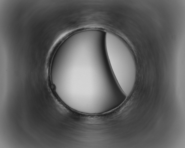 X0000088471416200705220931