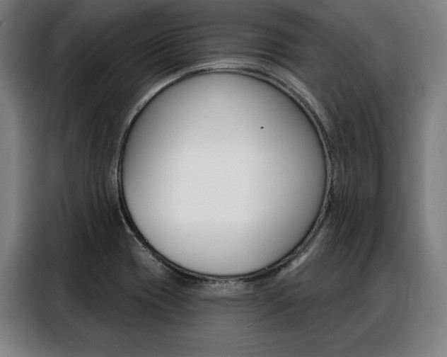 X0000088471417200705220931