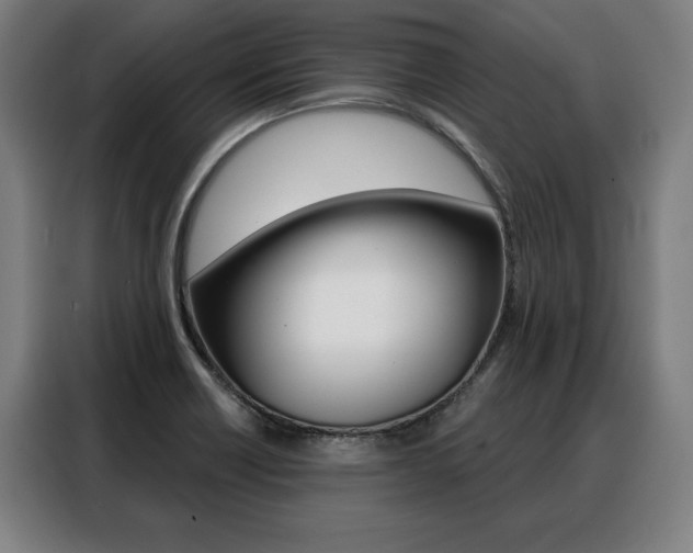 X0000088471418200705220931