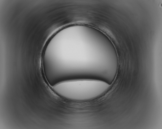 X0000088471420200705220931