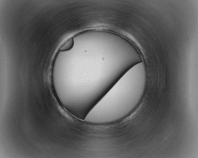 X0000088471421200705220931