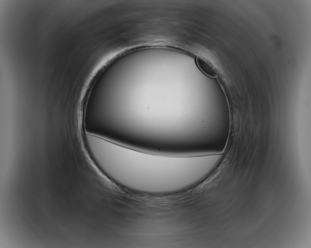 X0000088471424200705220931