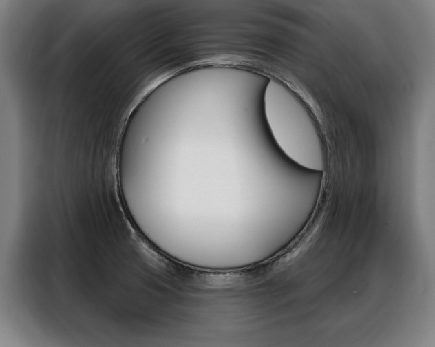 X0000088471425200705220931