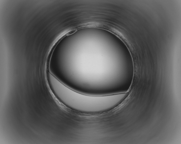X0000088471426200705220931