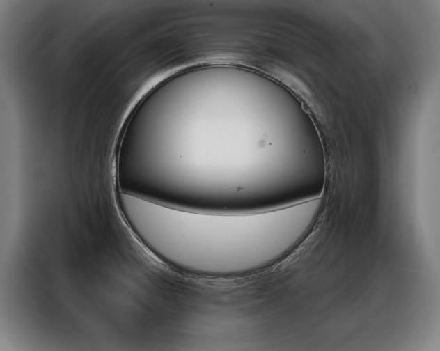 X0000088471428200705220931