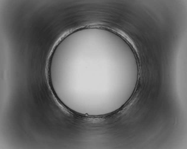 X0000088471429200705220931