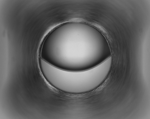 X0000088471430200705220931