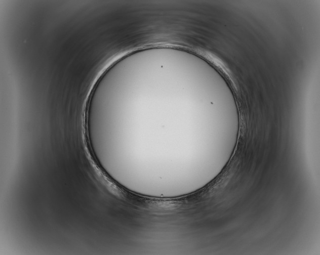 X0000088471431200705220931