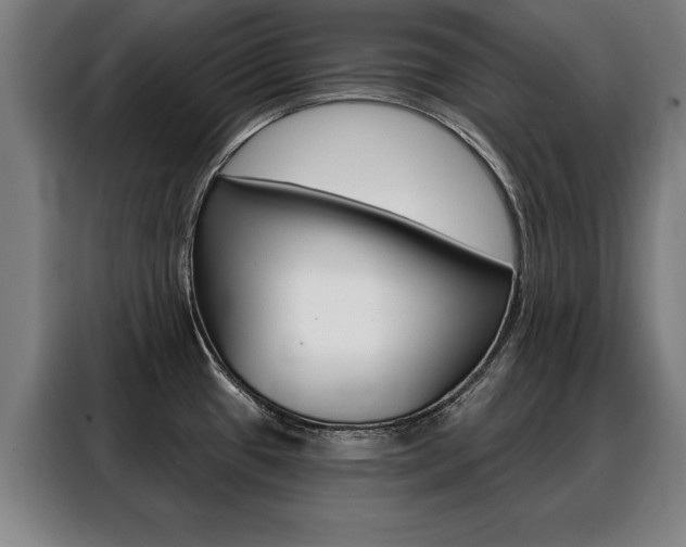 X0000088471433200705220931