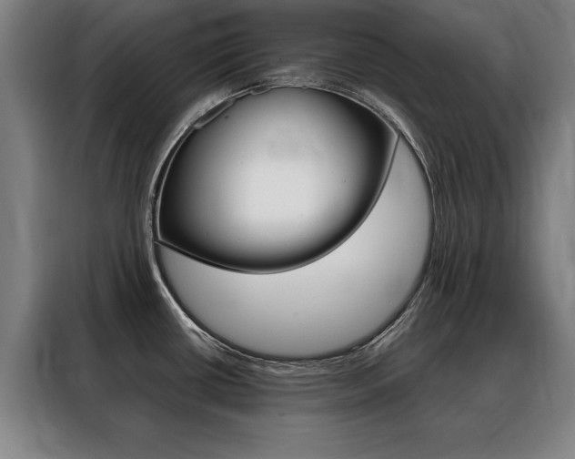 X0000088471434200705220931