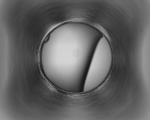 X0000088471436200705220931