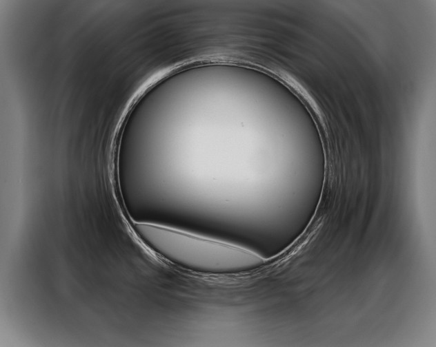 X0000088471437200705220931