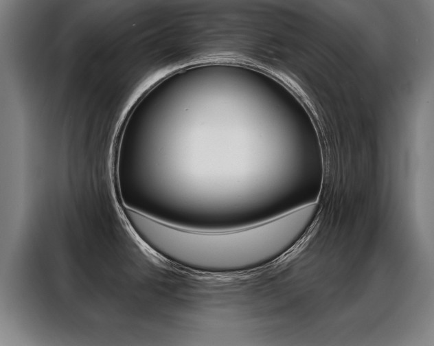 X0000088471438200705220931