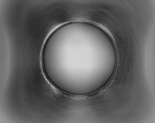 X0000088471440200705220931