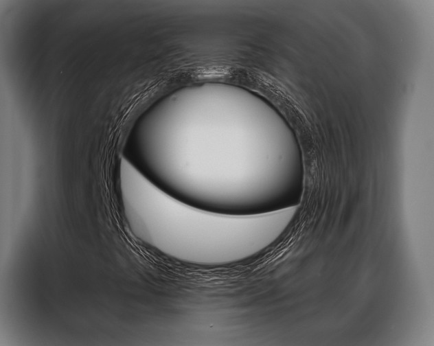 X0000088471441200705220930