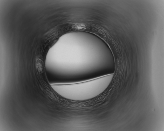 X0000088471442200705220930