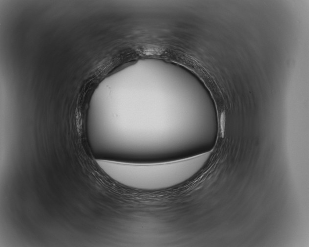 X0000088471443200705220930