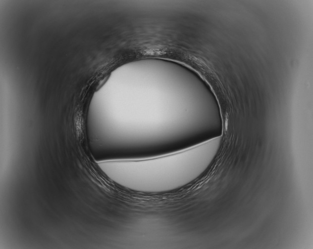 X0000088471444200705220930