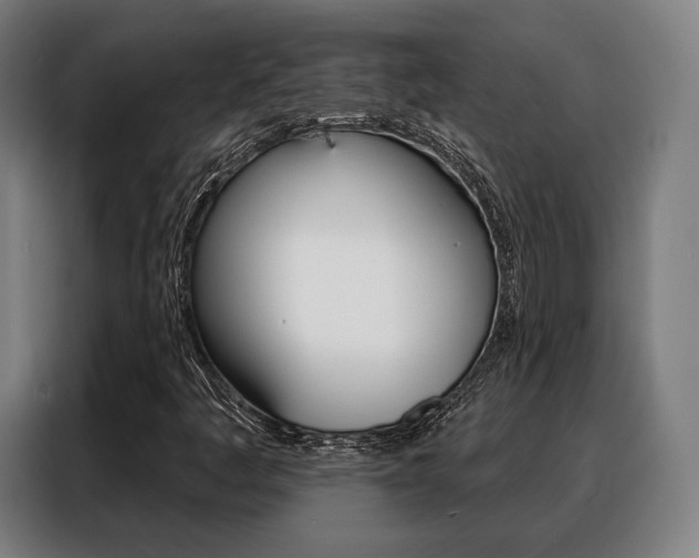 X0000088471445200705220930