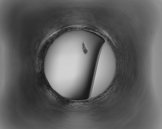 X0000088471448200705220930