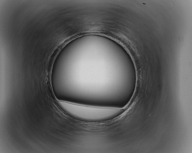 X0000088471449200705220930