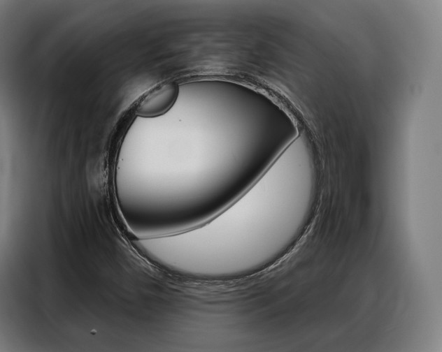 X0000088471450200705220930