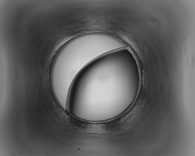 X0000088471453200705220930
